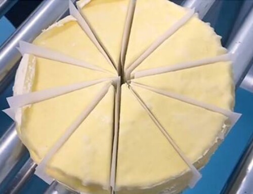 UFM1000P Round or Higher Cake Cutter Machine
