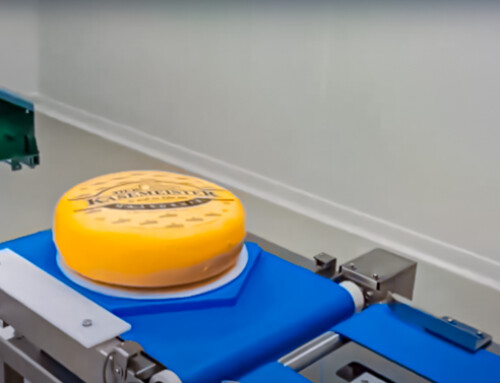 UFM3100W Ultrasonic Cheese Cutter FAQ | Soft Semi‑Hard Hard Cheese Portioning & Wedging