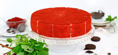 Red Velvet Cake Slicing - Ultrasonic Cake Cutter - Cheersonic 2