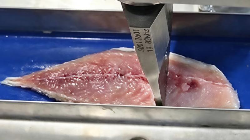 Corte de pescado